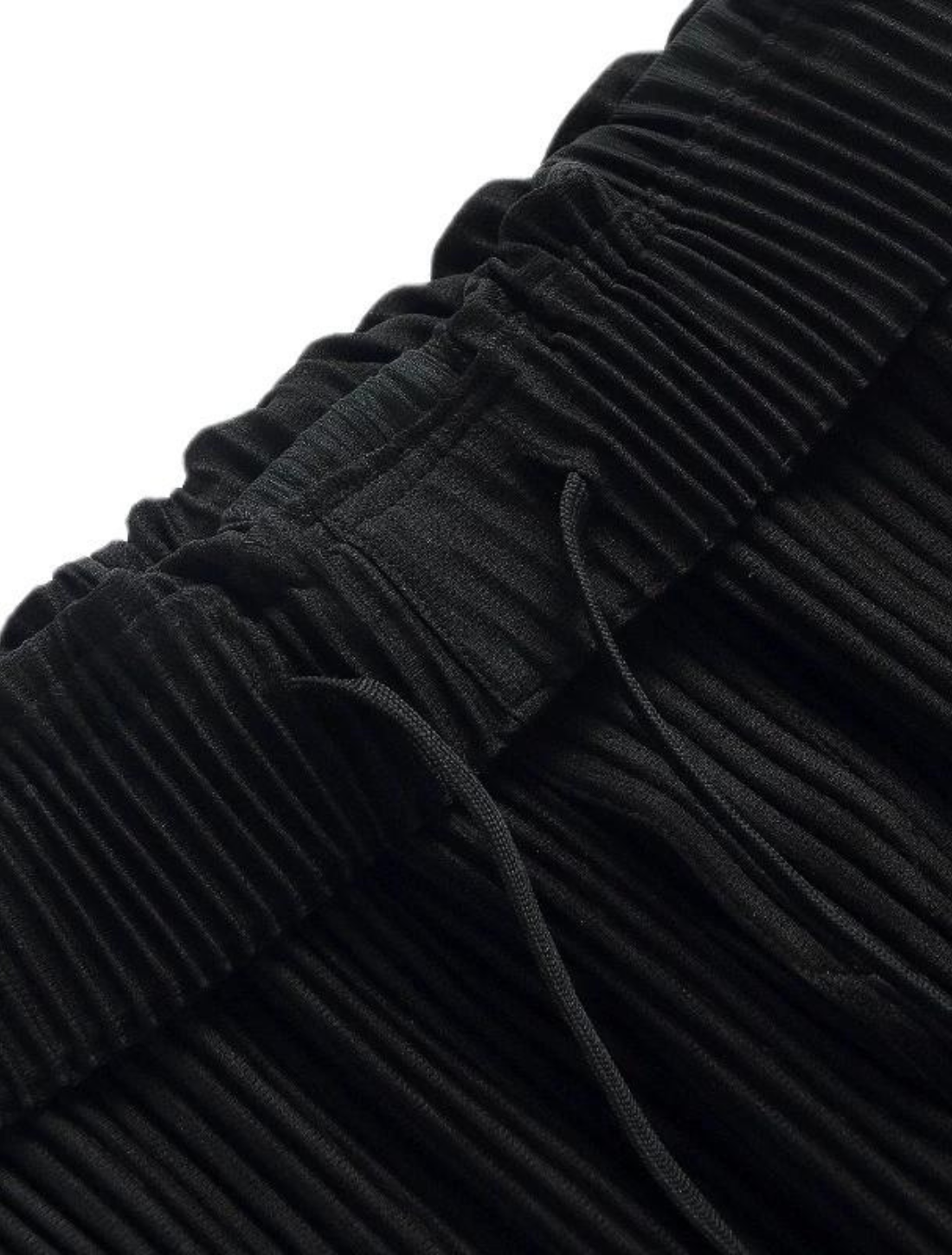 Issey Miyake Pleated Pants